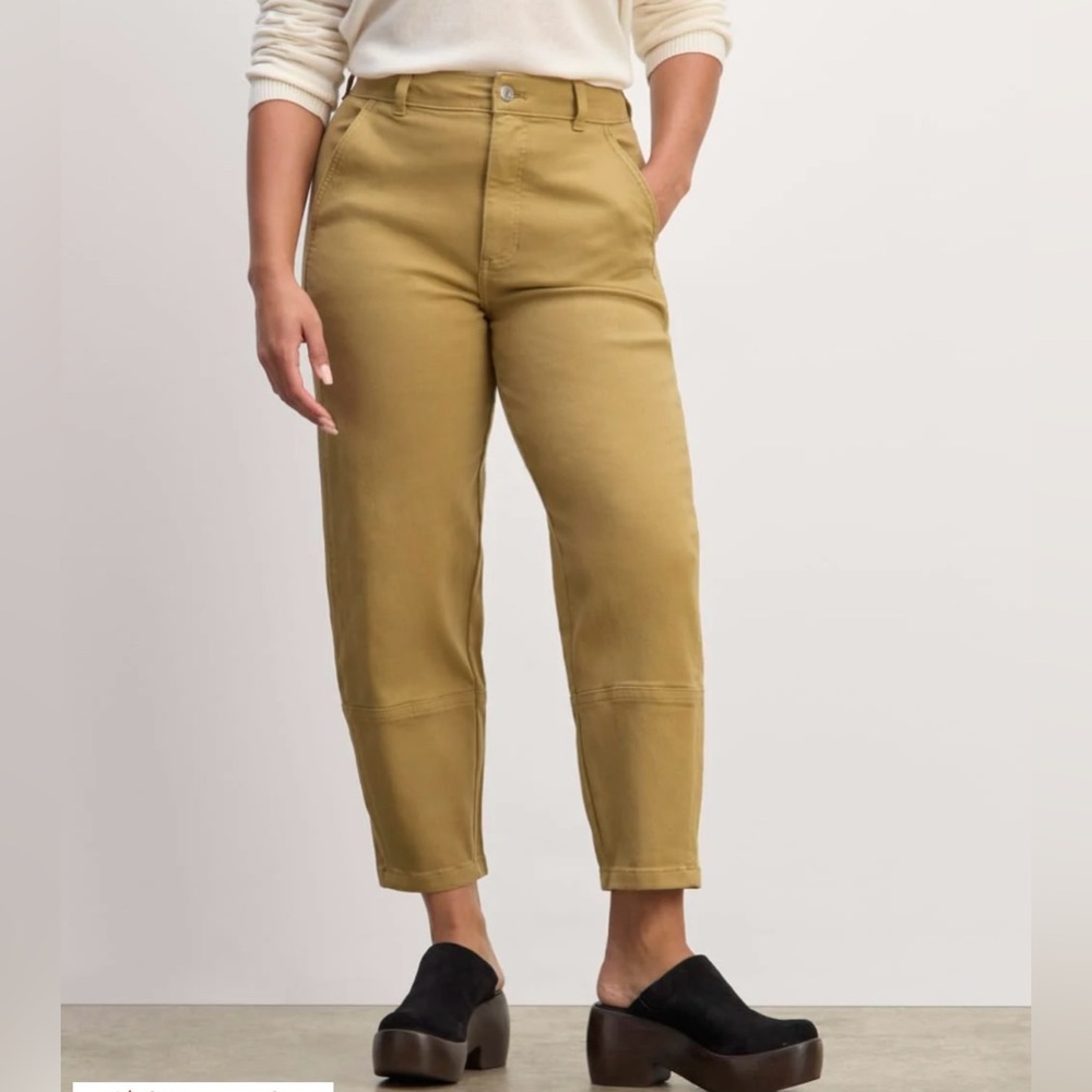 Everlane The Utility Barrel Pant
